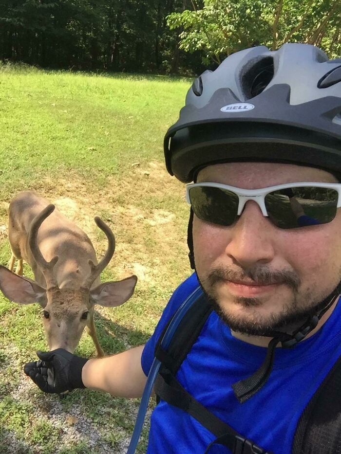 Met a Wild Deer on My Bike Ride Who Loved to Lick My Salty Arm