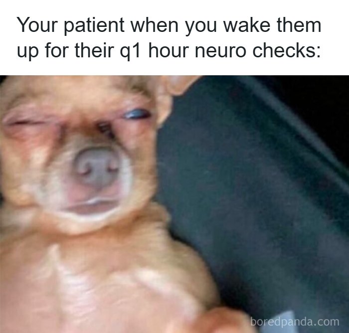 These Hilarious Memes Totally Nail What It's Like Being a Doctor or Nurse