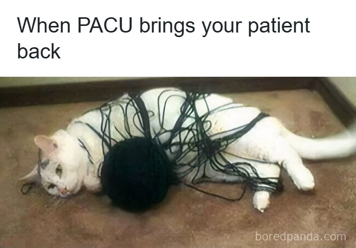 These Hilarious Memes Totally Nail What It's Like Being a Doctor or Nurse