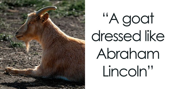 Wild Hotel Guest Stories That’ll Make You Say, Wait, What?!