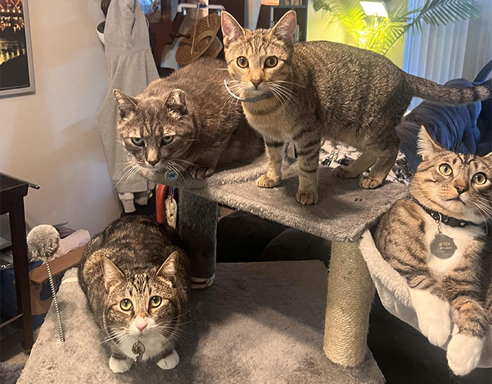 Wild Hotel Guest Stories That’ll Make You Say, Wait, What?!