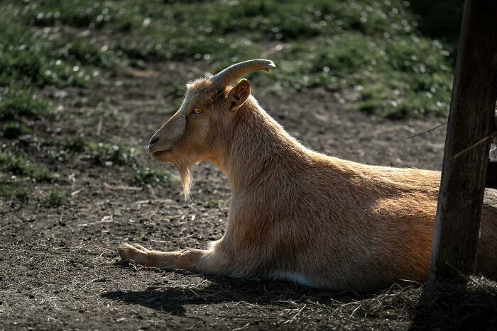 Wild Hotel Guest Stories That’ll Make You Say, Wait, What?!