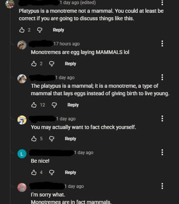 Monotremes Are Definitely Mammals—Yikes.