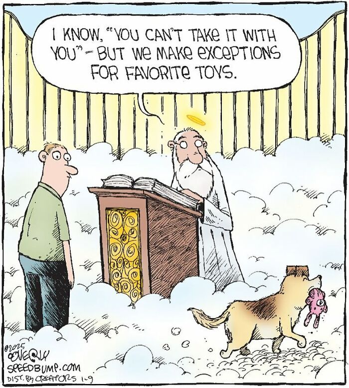 Let's Dive Into 47 Hilarious 'Speed Bump' Comics That Nail Everyday Weirdness