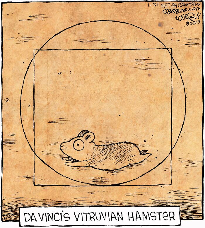 Let's Dive Into 47 Hilarious 'Speed Bump' Comics That Nail Everyday Weirdness