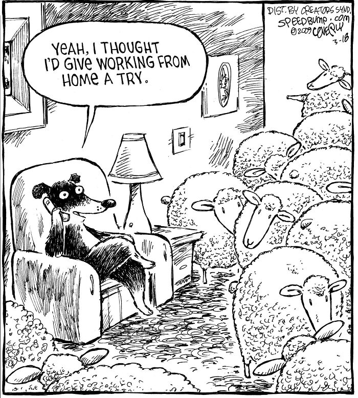 Let's Dive Into 47 Hilarious 'Speed Bump' Comics That Nail Everyday Weirdness