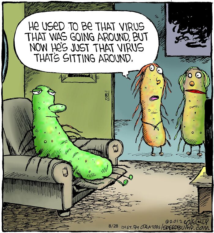 Let's Dive Into 47 Hilarious 'Speed Bump' Comics That Nail Everyday Weirdness