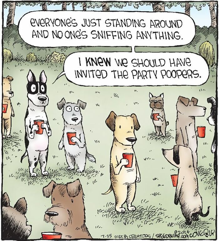 Let's Dive Into 47 Hilarious 'Speed Bump' Comics That Nail Everyday Weirdness