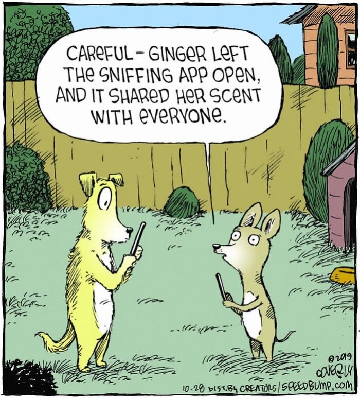 Let's Dive Into 47 Hilarious 'Speed Bump' Comics That Nail Everyday Weirdness