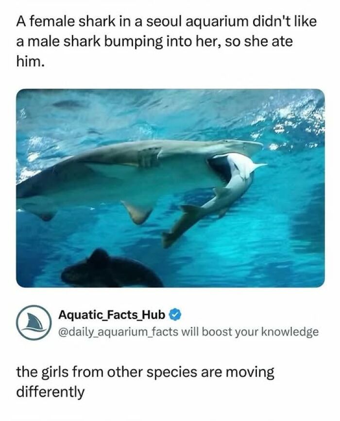 We Dug Up 33 Twitter Gems That Are Hilariously Weird