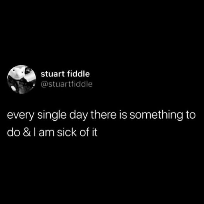 We Dug Up 33 Twitter Gems That Are Hilariously Weird