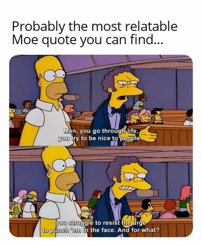 When Adulting Hits Hard: 74 Memes That Get You (Because, Seriously, What Is This Life?)