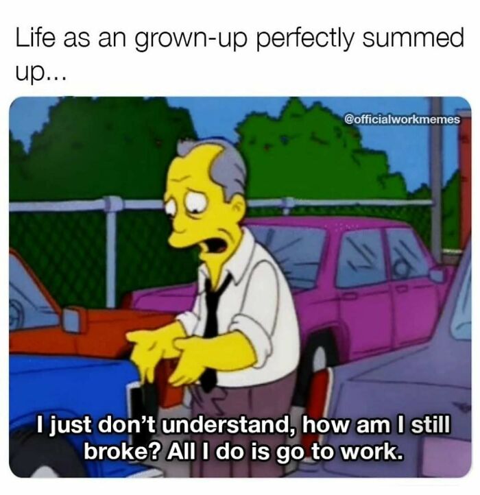 When Adulting Hits Hard: 74 Memes That Get You (Because, Seriously, What Is This Life?)