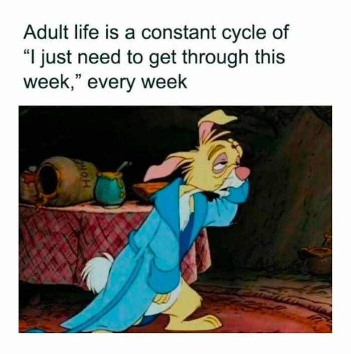 When Adulting Hits Hard: 74 Memes That Get You (Because, Seriously, What Is This Life?)