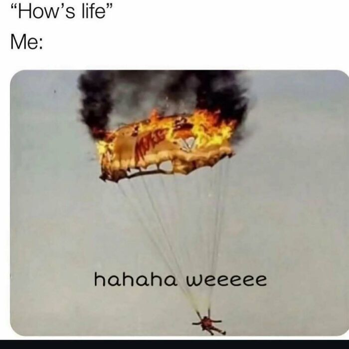 When Adulting Hits Hard: 74 Memes That Get You (Because, Seriously, What Is This Life?)