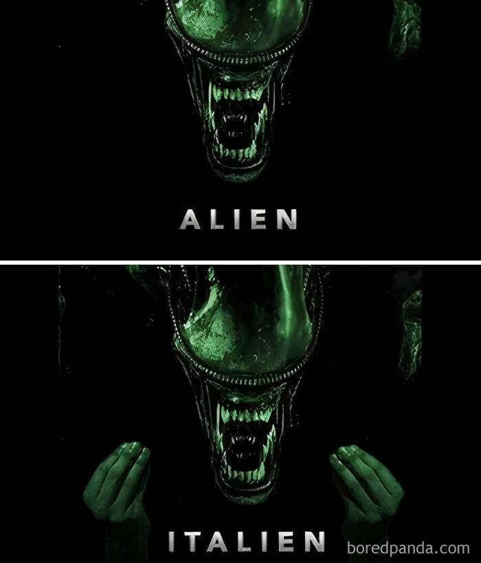 Ready to Laugh? These 37 Memes Will Totally Make Your Day