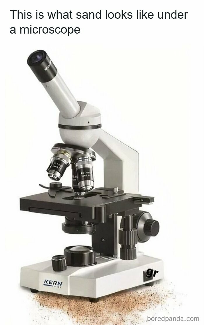 Ready to Laugh? These 37 Memes Will Totally Make Your Day