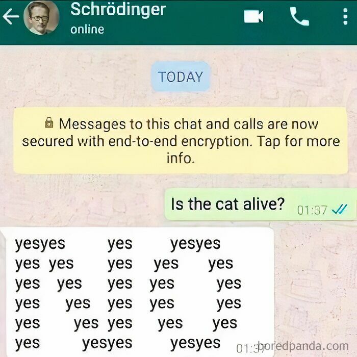 Ready to Laugh? These 37 Memes Will Totally Make Your Day