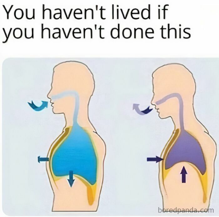 Ready to Laugh? These 37 Memes Will Totally Make Your Day