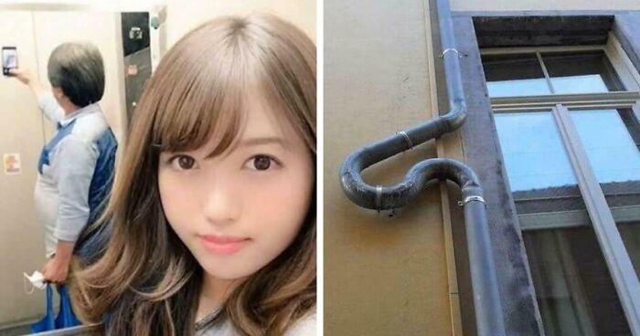 Wait, They Actually Ranked These 77 ‘Hmmm’ Pics That’ll Twist Your Brain!