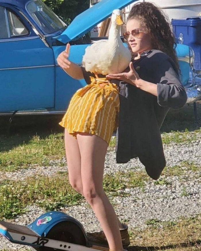 This Is One Wild Picture