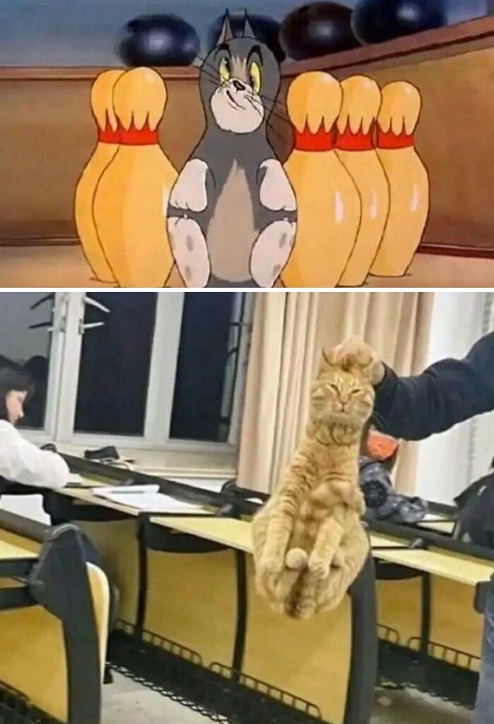 The Epitome Of Bizarre