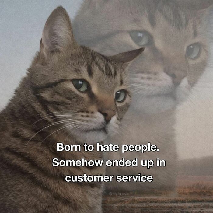 51 Work Memes That’ll Make Your 9-to-5 Suck Less