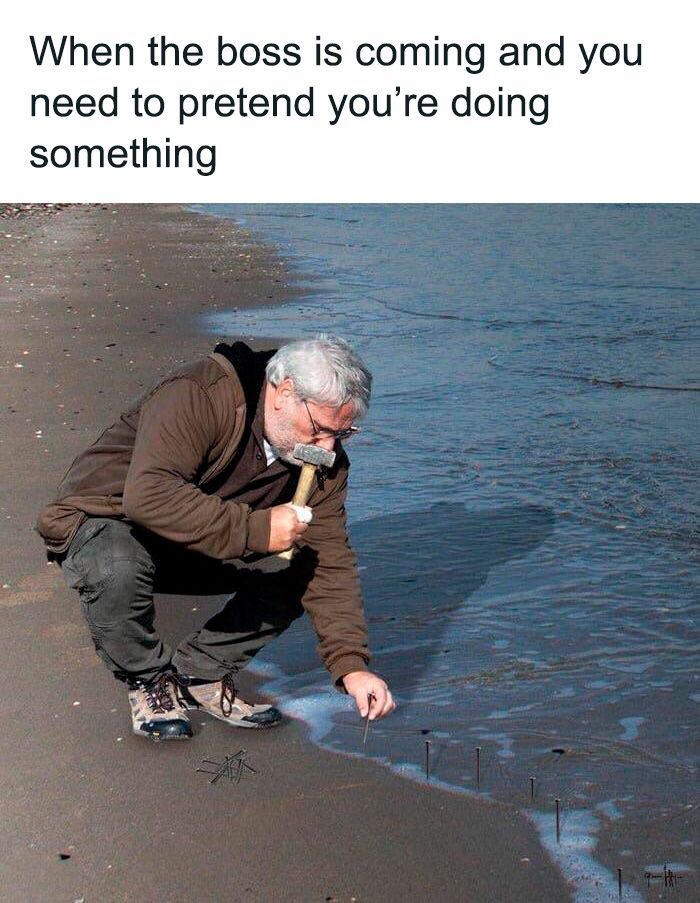 51 Work Memes That’ll Make Your 9-to-5 Suck Less