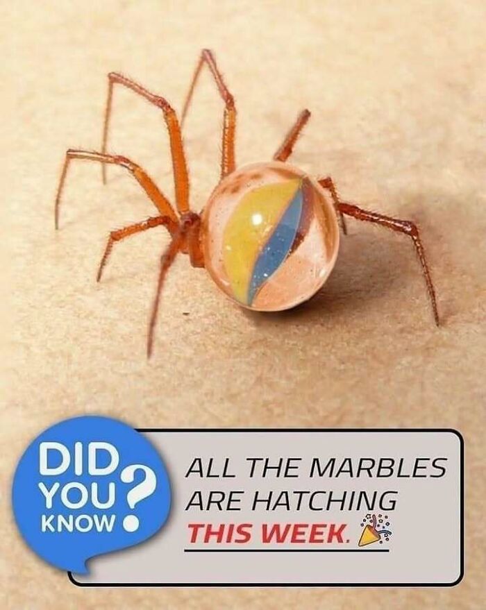 Wait, They Actually Ranked That?! 86 Pics So Weird You'll Scratch Your Head