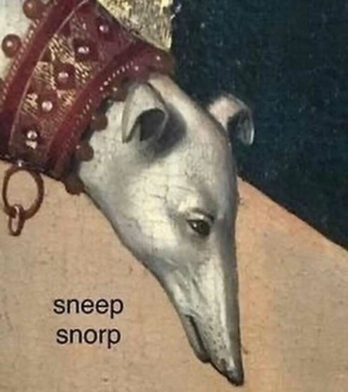 Wait, They Actually Ranked That?! 86 Pics So Weird You'll Scratch Your Head