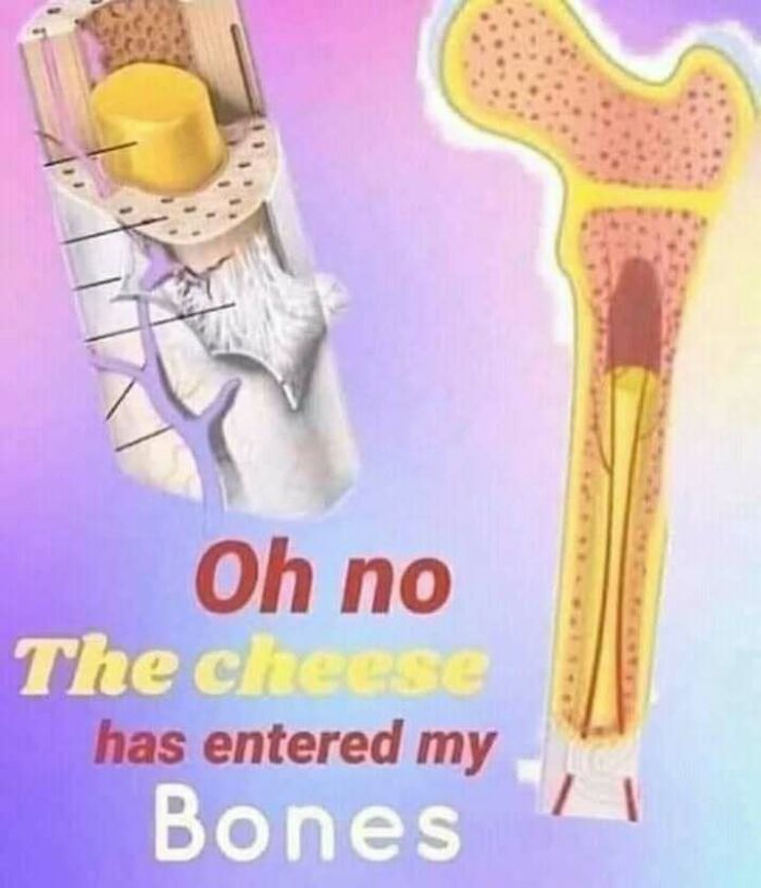 Wait, They Actually Ranked That?! 86 Pics So Weird You'll Scratch Your Head