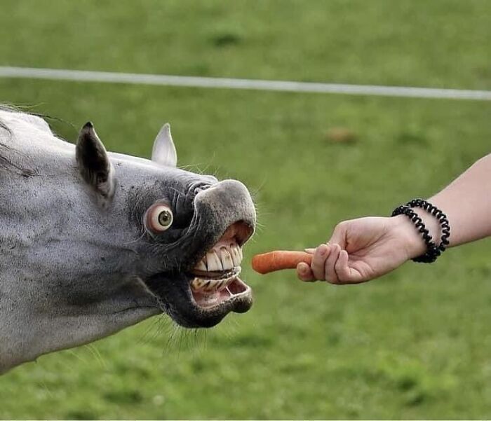 Wait, They Actually Ranked That?! 86 Pics So Weird You'll Scratch Your Head