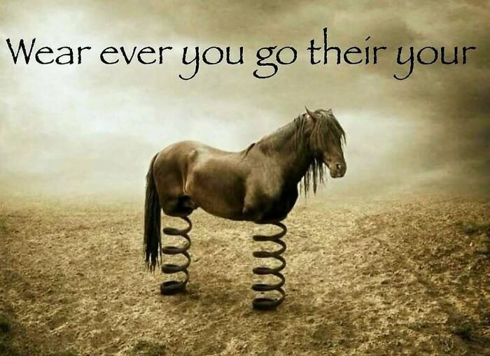 Wait, They Actually Ranked That?! 86 Pics So Weird You'll Scratch Your Head