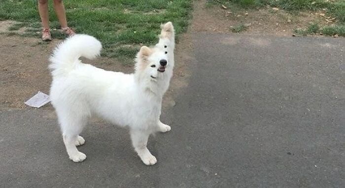 Wait, They Actually Ranked That?! 86 Pics So Weird You'll Scratch Your Head