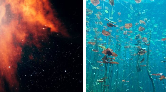 Blast Off to a New Planet Or Dive Deep to Discover a Hidden Underwater World?