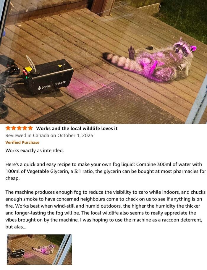 Fog Machine Review That’s Super Chill