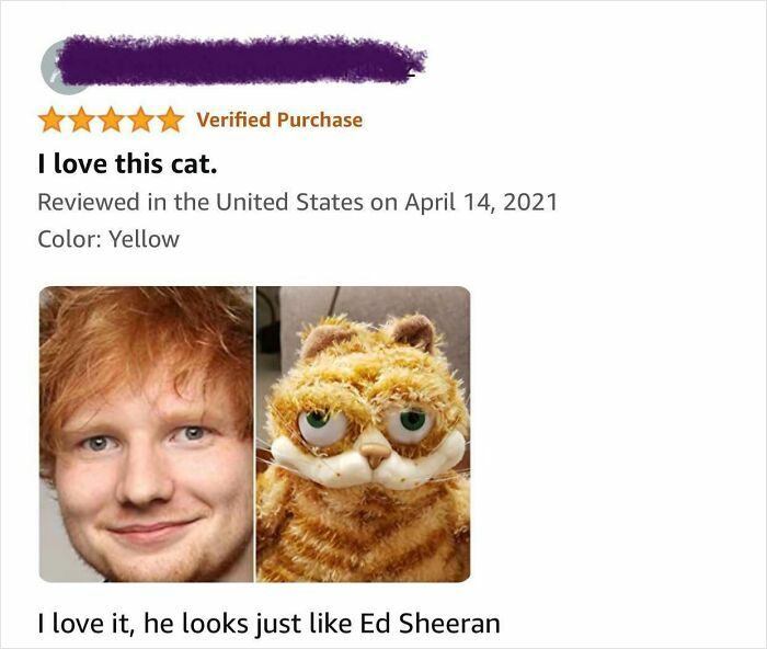 He Looks Just Like Ed Sheeran! Said No One... Ever