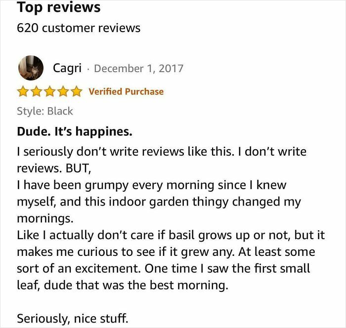 Herb Garden Review That’s Seriously Nice (and Funny!)