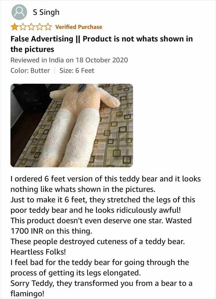 Poor Teddy… This Review Hits Hard