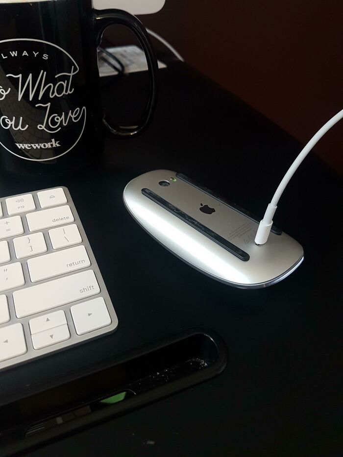 Apple Mouse Just Quit