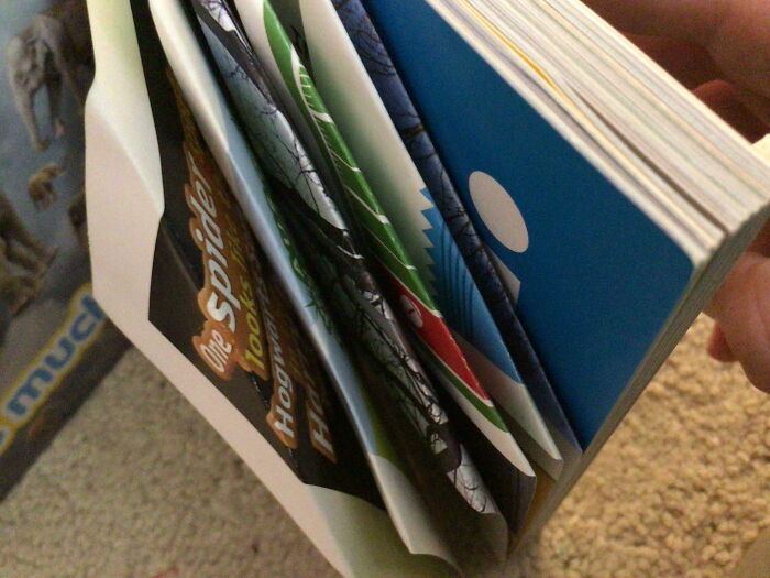 Lent My Friend a Brand-New Book... Got It Back Like This