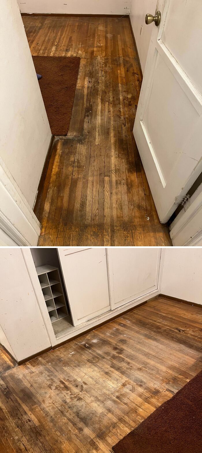 Roommate Moved Out But Left a Disaster as a 'Farewell Gift'
