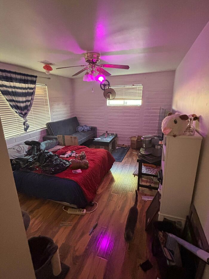 Roommate Tried to Pay Rent with ‘Stuff.’ Here’s What They Left Behind