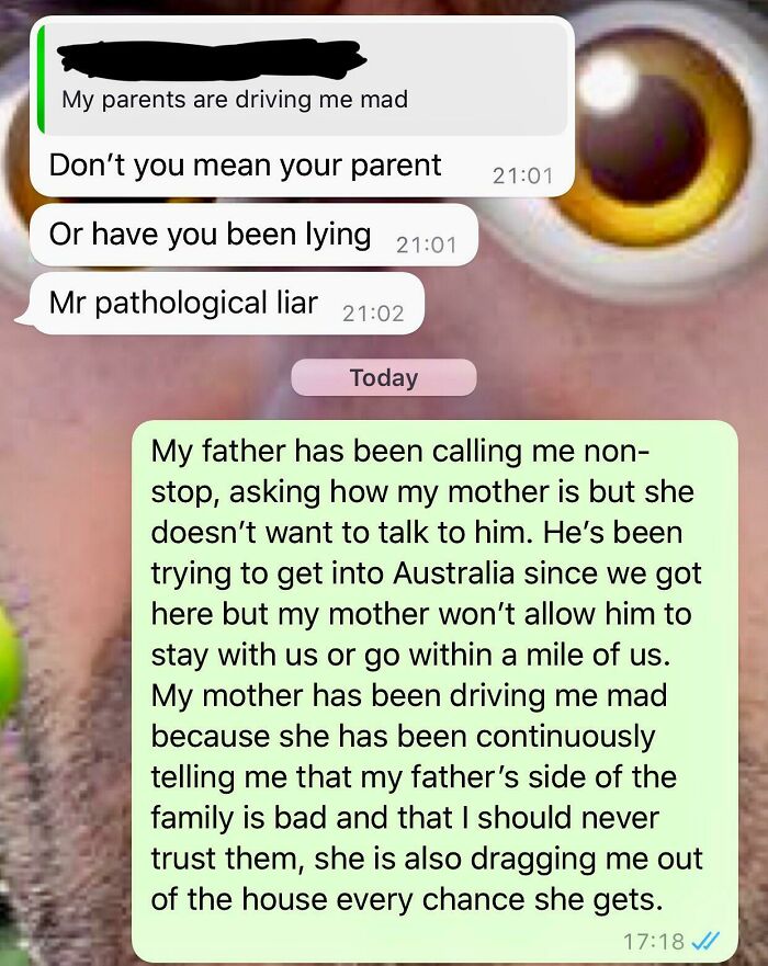 Moved to Australia After My Parents Divorced, Told My Friend, and Got This Response