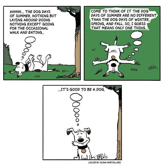 45 Comics That Nail Those Weird Everyday Moments Like a Pro