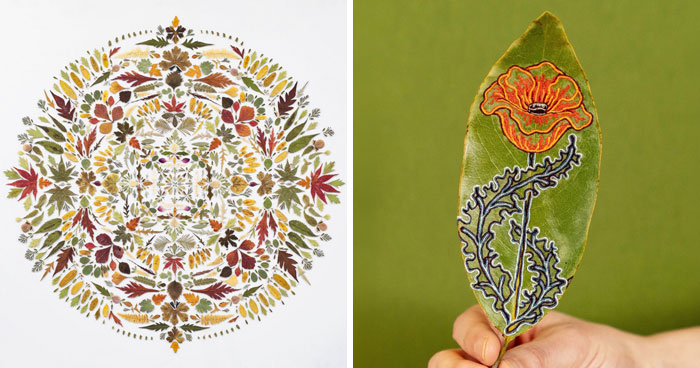 Nature Got a Stitch Job: Crazy Cool Leaf Art That’ll Blow Your Mind