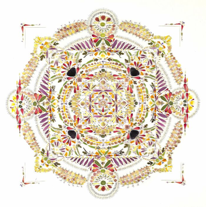 Leaf Love at Grace Farms, CT