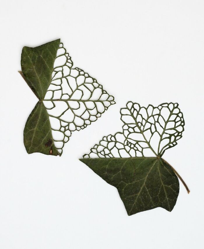 Cut-Out Leaf Chic #3