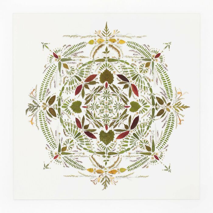 Leaf Vibes at Chisman Creek Park, Virginia