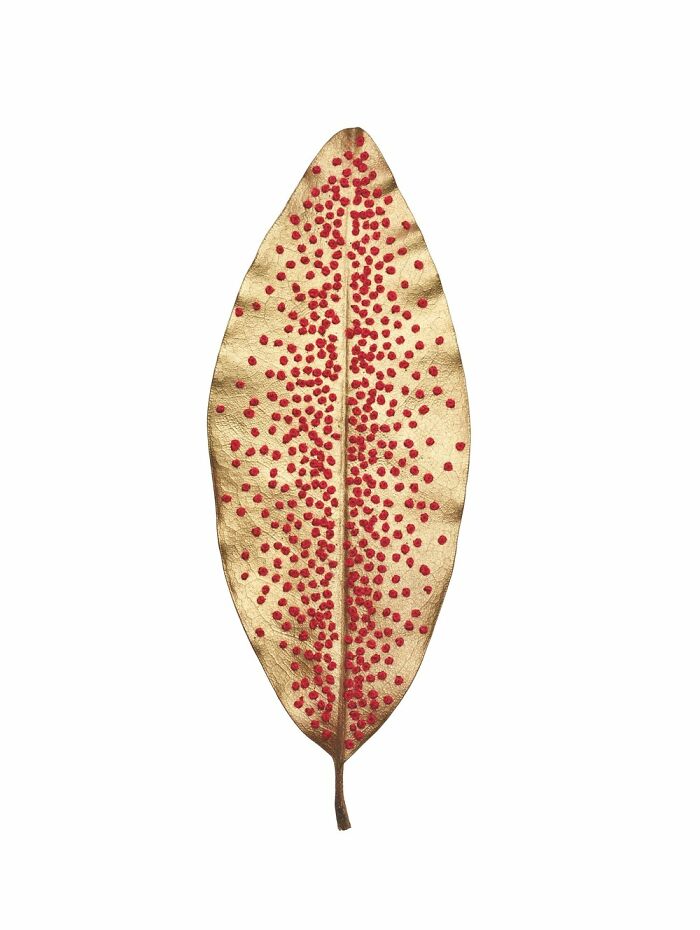 Leaves Teaming Up With L’occitane